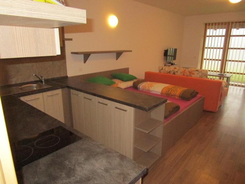 Apartman Ricky V Orlickych Horach Wüstenei Eksteriør bilde